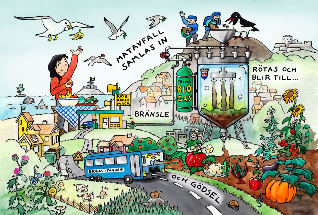 Matavfallets kretslopp